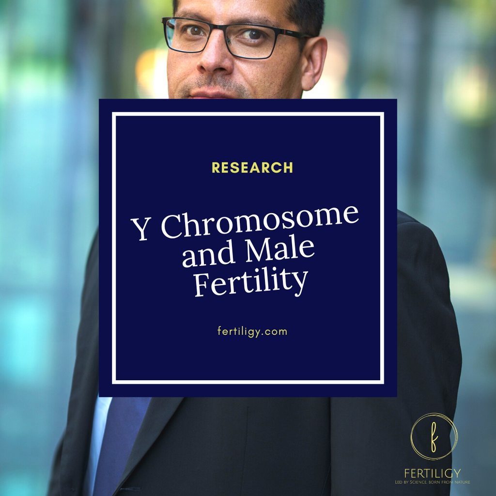 The Y Chromosome and Male Fertility