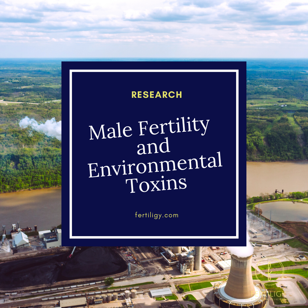 Threats to Male Fertility Linked to Environmental Toxins
