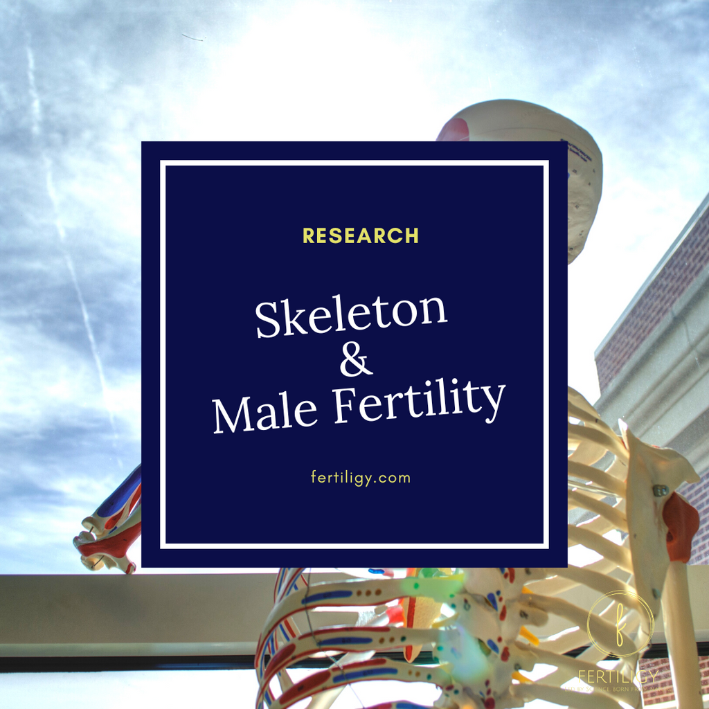 Endocrine Regulation of Male Fertility by the Skeletal System