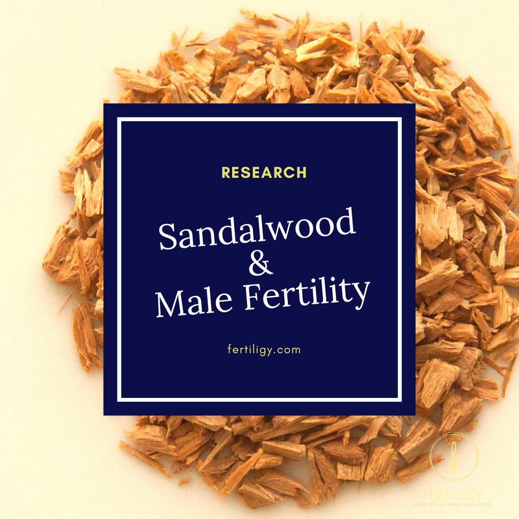 Sandalwood Oil and Male Fertility