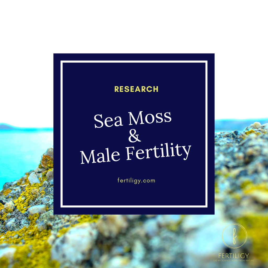 Sea Moss and Male Fertility