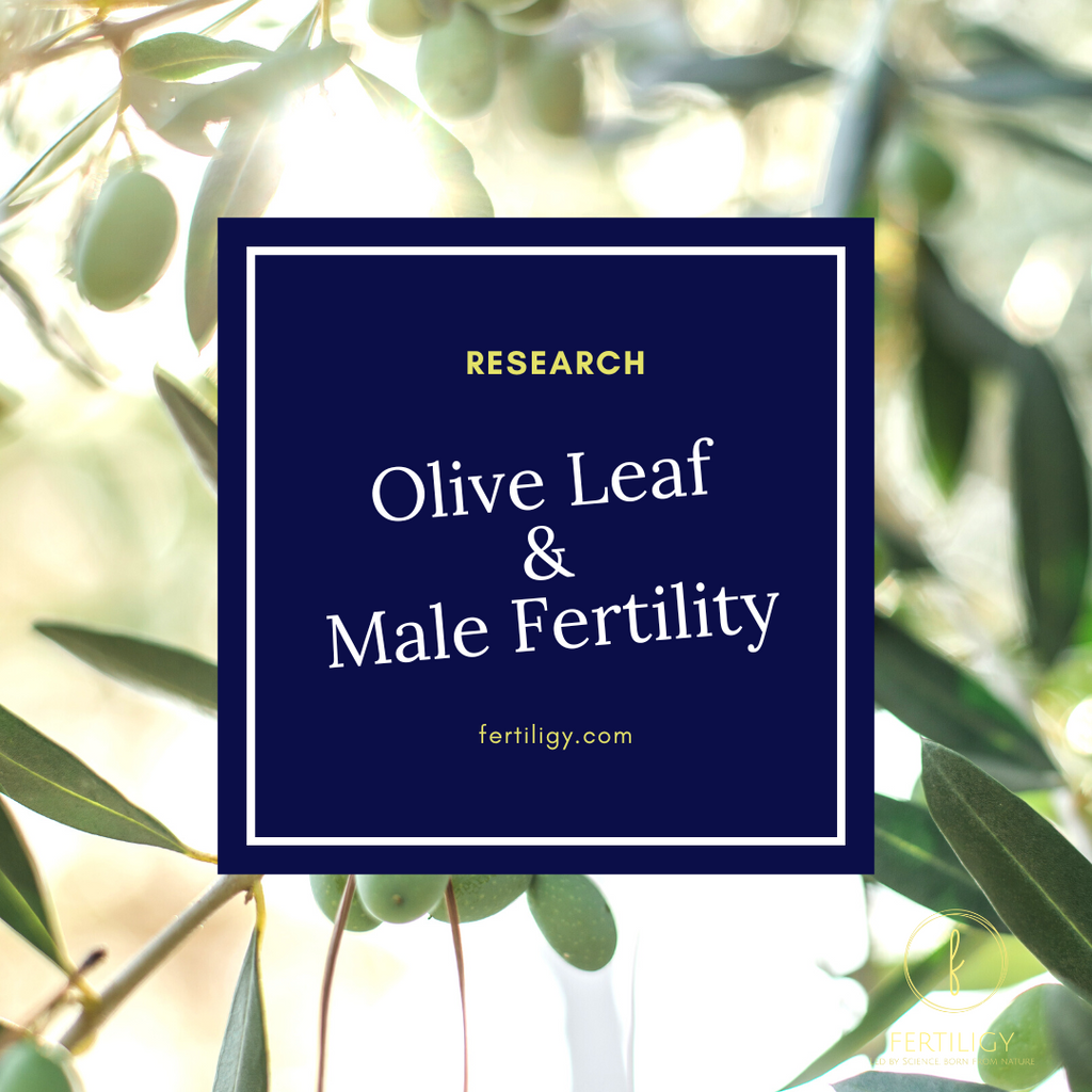 Olive Leaf Extract and Male Fertility