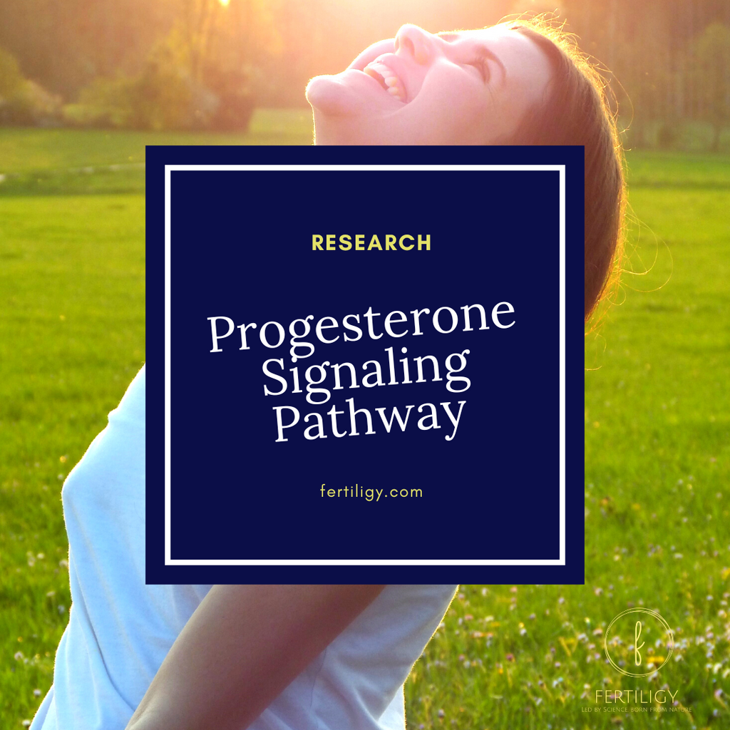 Progesterone Signaling Pathway