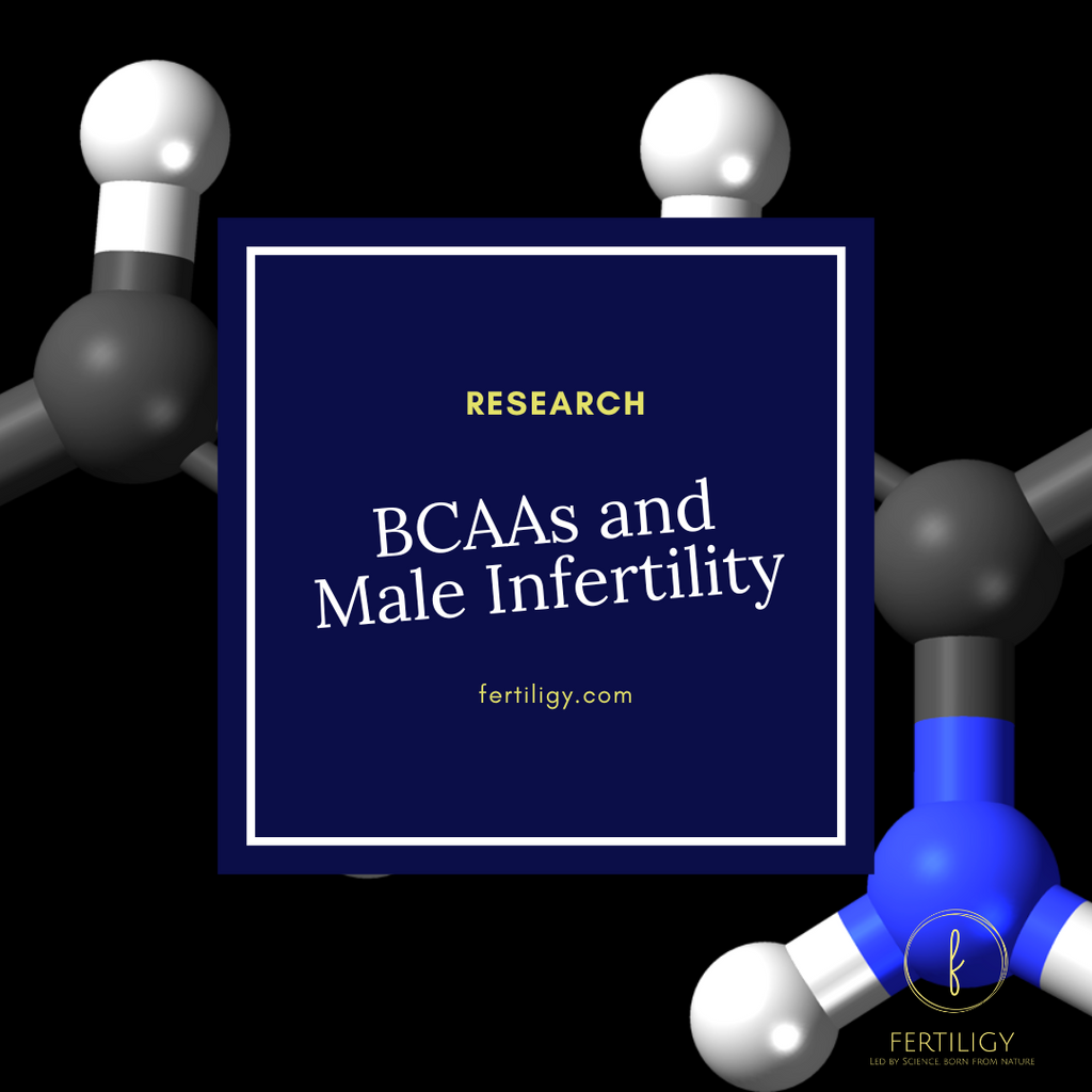 BCAAs and Male Fertility