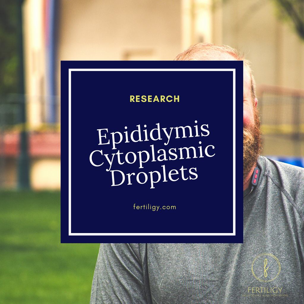 The Epididymis, Cytoplasmic Droplets, and Male Fertility