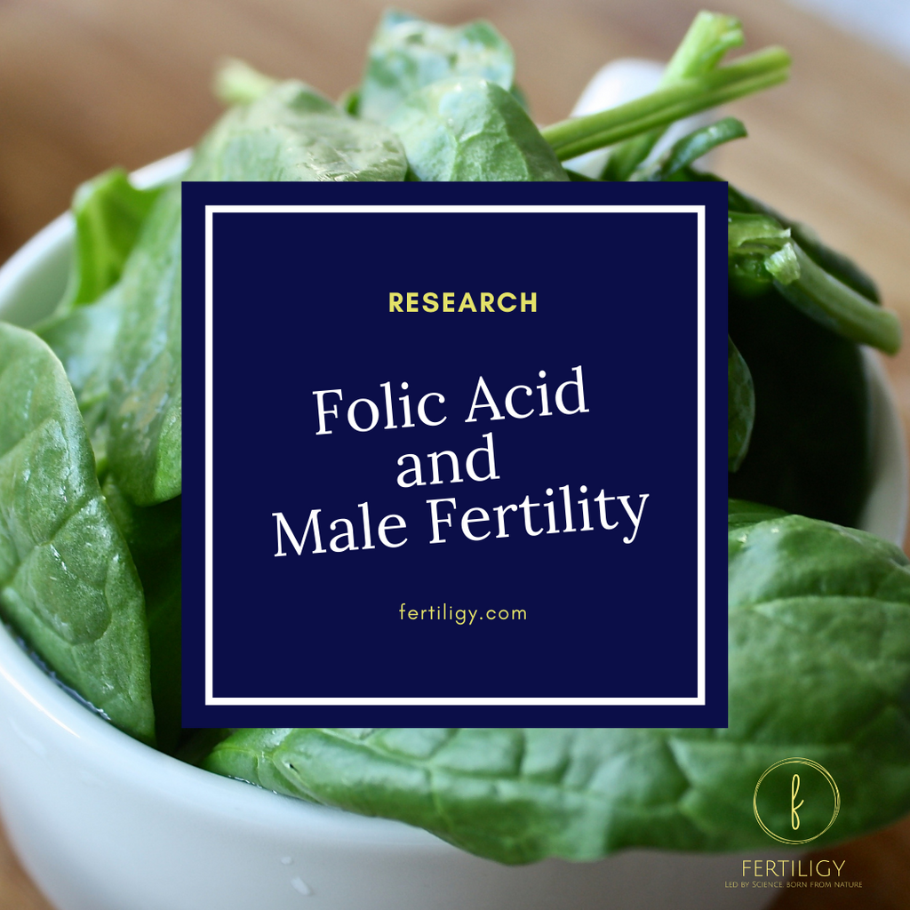 Does Folic Acid Help Male Fertility?
