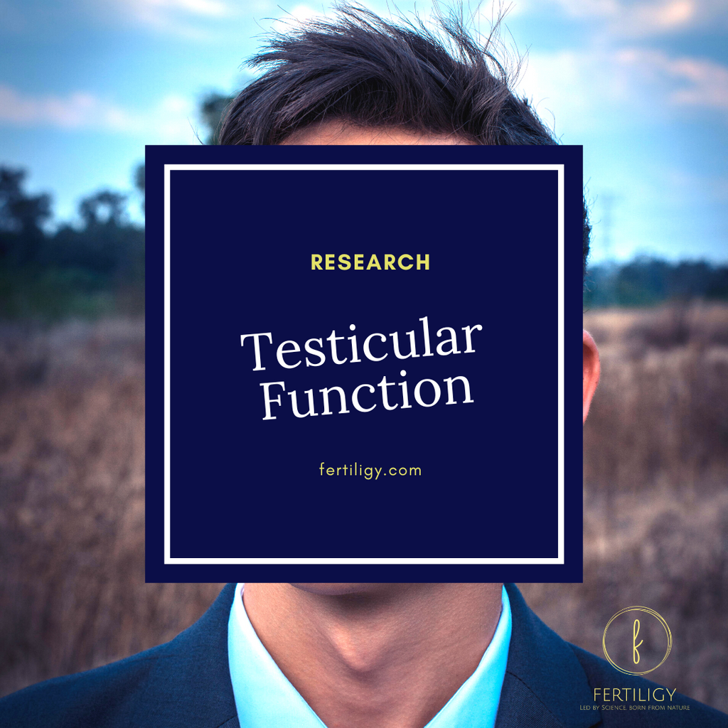 The Function of the Testicles