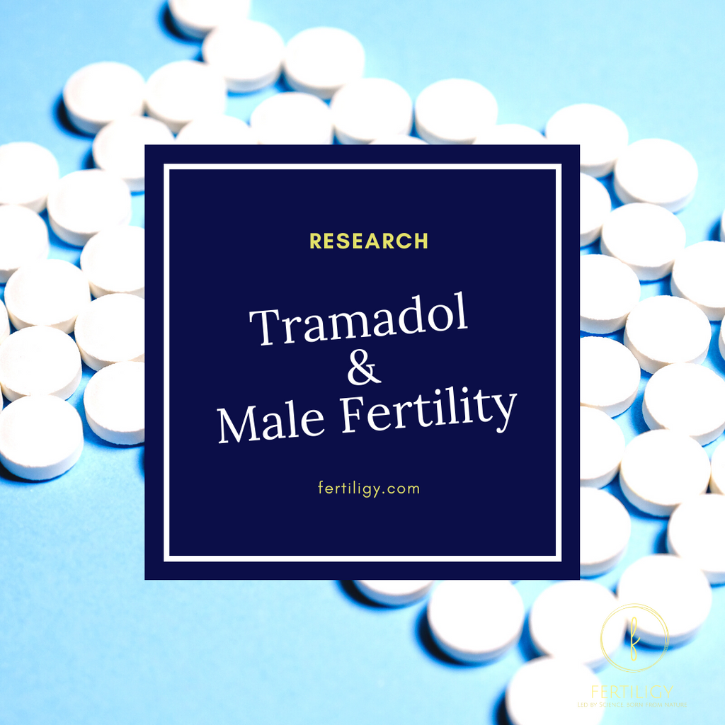 Tramadol and Male Fertility