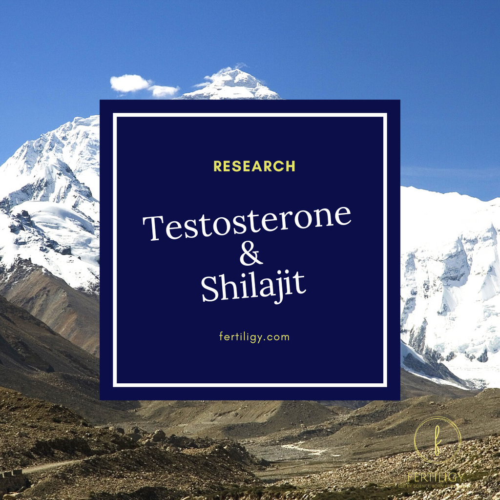 Does Shilajit Boost Testosterone?